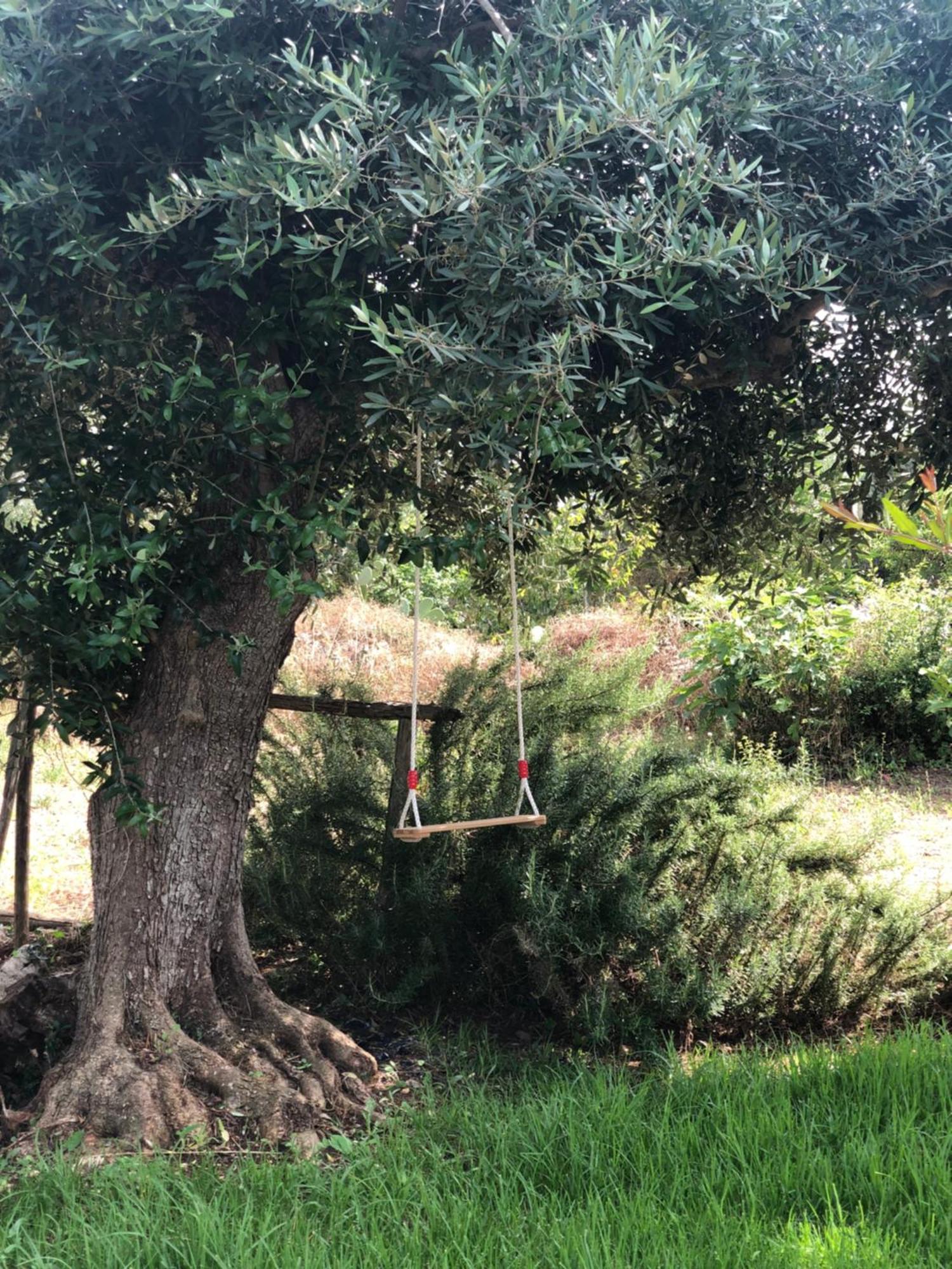 Trullo Antico Con Piscina Indipendente - Trulli Finisterrae Holiday home Ceglie Messapica
